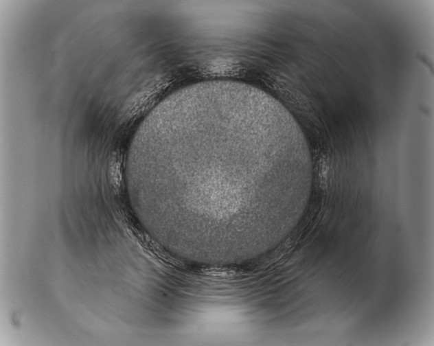 X0000102400746200808221847