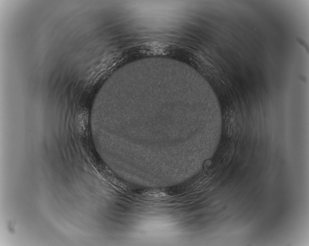 X0000102400747200808221847
