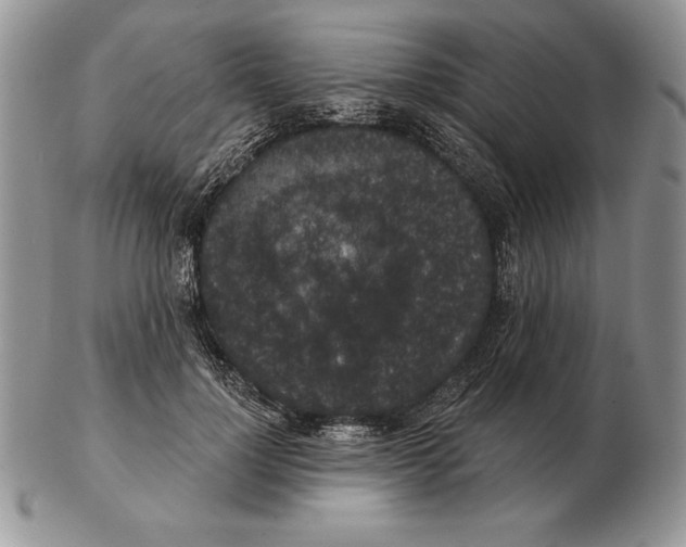 X0000102400748200808221847