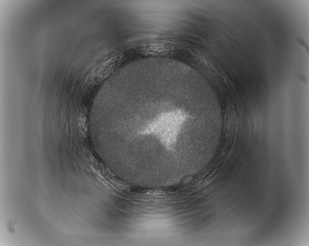 X0000102400749200808221847