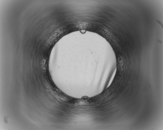 X0000102400750200808221847