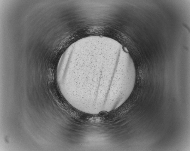 X0000102400751200808221847