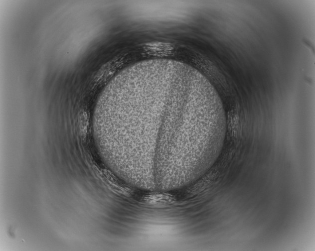 X0000102400752200808221847