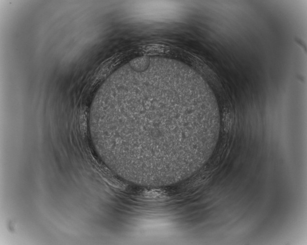 X0000102400753200808221847