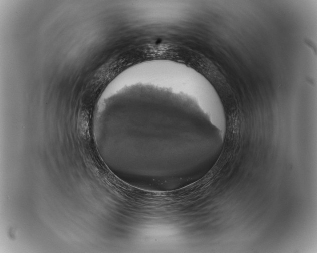 X0000102400754200808221847