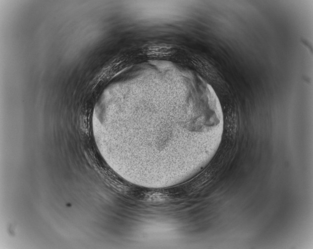 X0000102400755200808221847