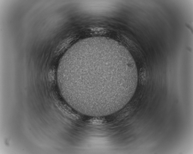 X0000102400756200808221847