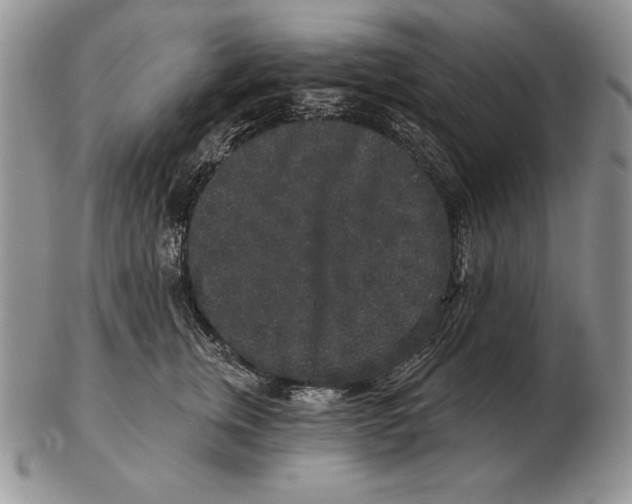 X0000102400759200808221848