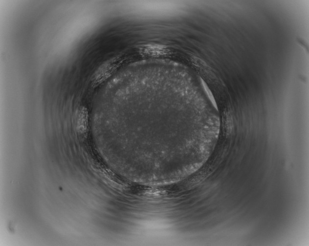X0000102400760200808221848