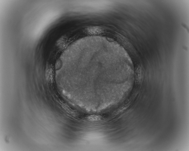 X0000102400762200808221848