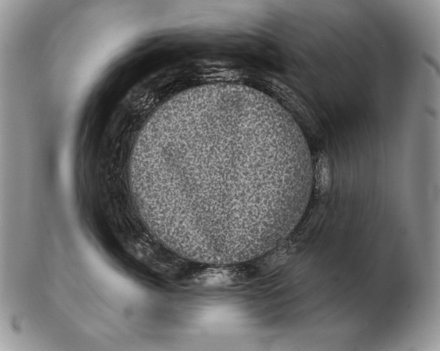X0000102400764200808221848