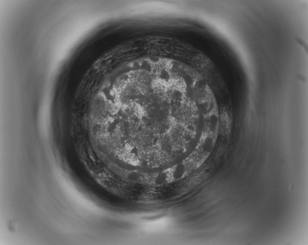 X0000102400765200808221848