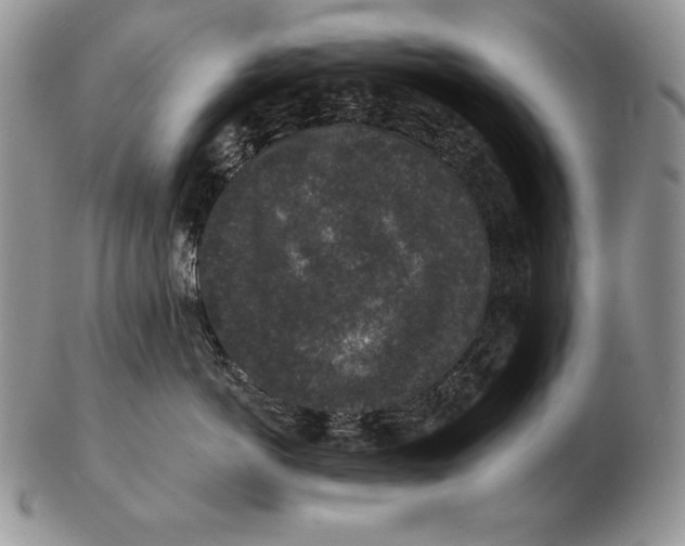 X0000102400766200808221848
