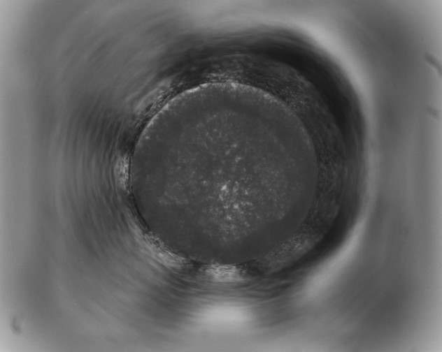 X0000102400767200808221848
