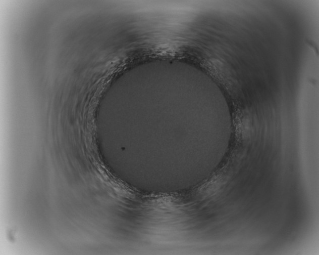X0000102400769200808221847