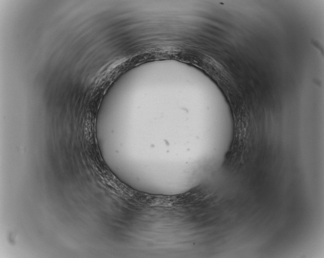 X0000102400773200808221847