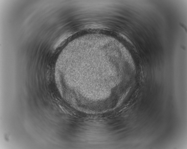 X0000102400775200808221847