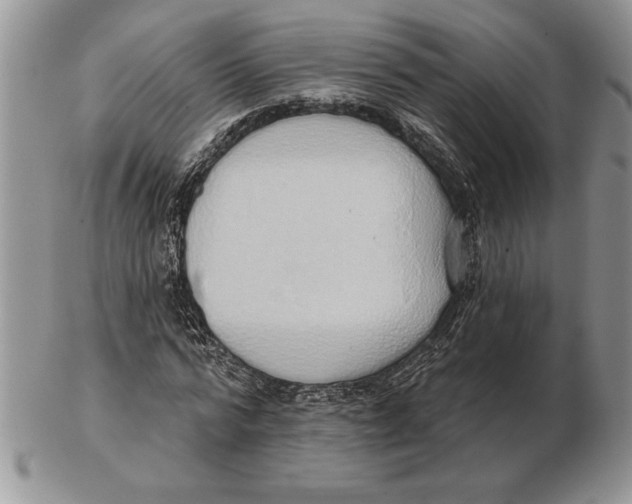 X0000102400776200808221847