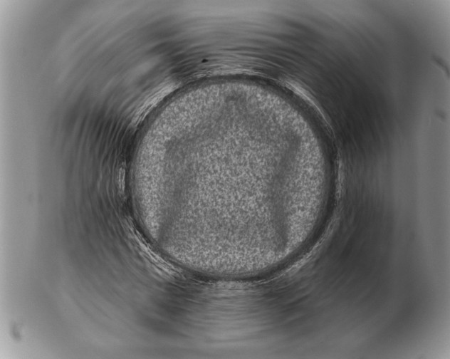 X0000102400777200808221847
