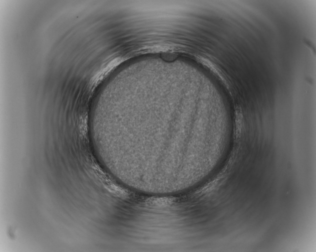 X0000102400778200808221847