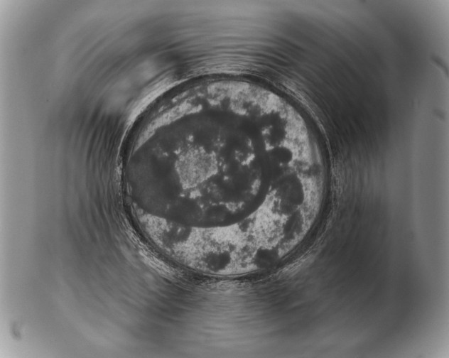 X0000102400779200808221847
