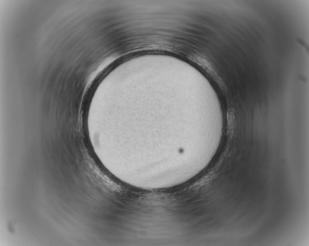 X0000102400780200808221847