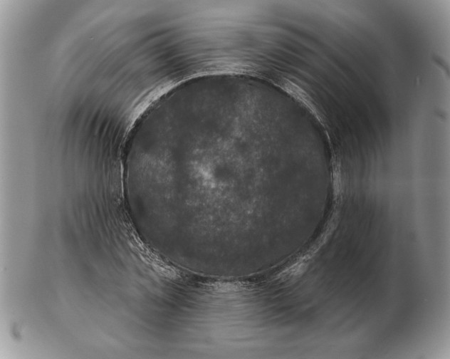 X0000102400781200808221847
