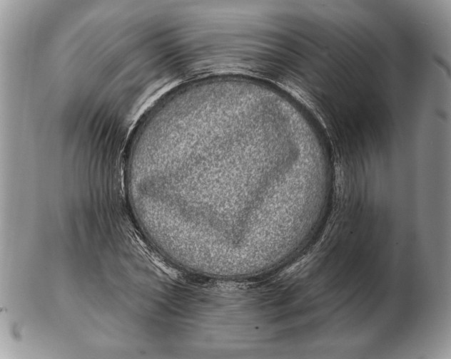 X0000102400782200808221847