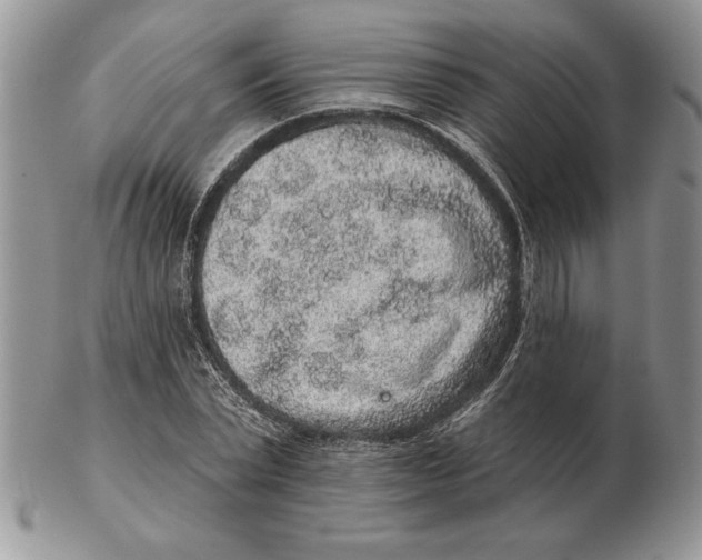 X0000102400783200808221847
