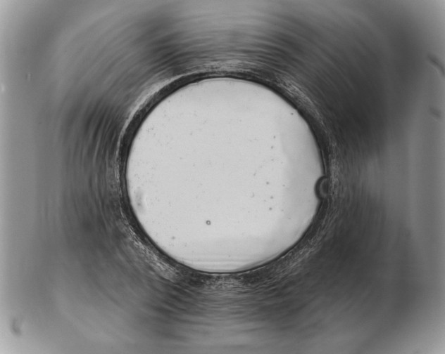 X0000102400784200808221847