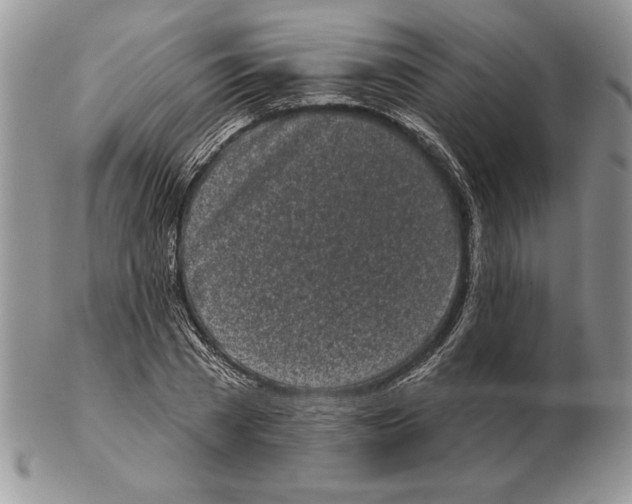 X0000102400785200808221847