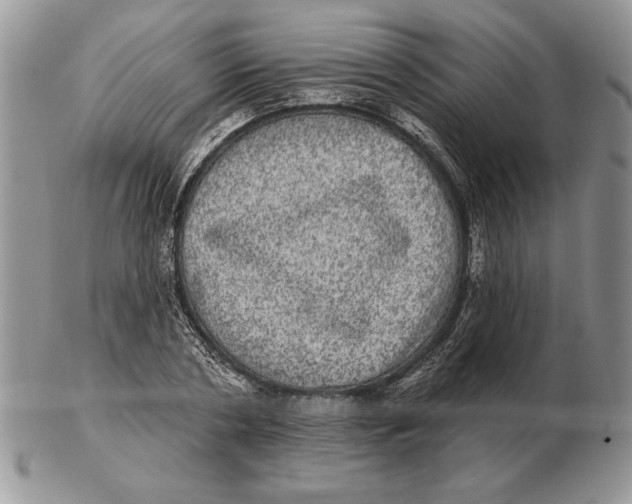 X0000102400786200808221847