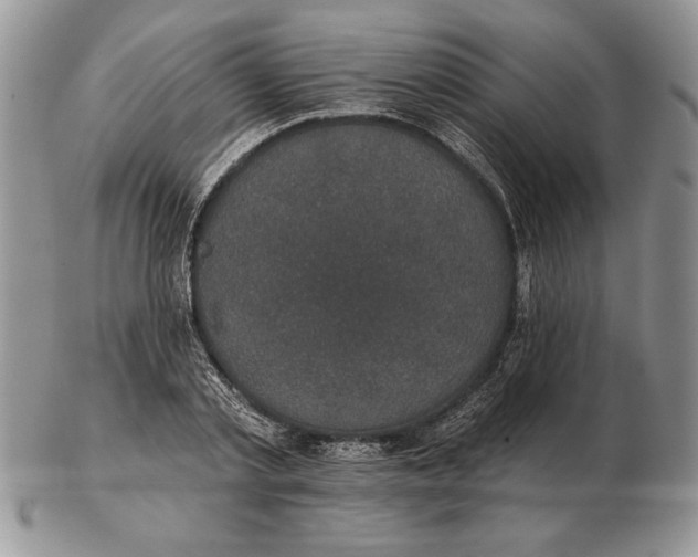 X0000102400789200808221847
