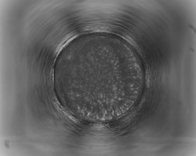 X0000102400790200808221847