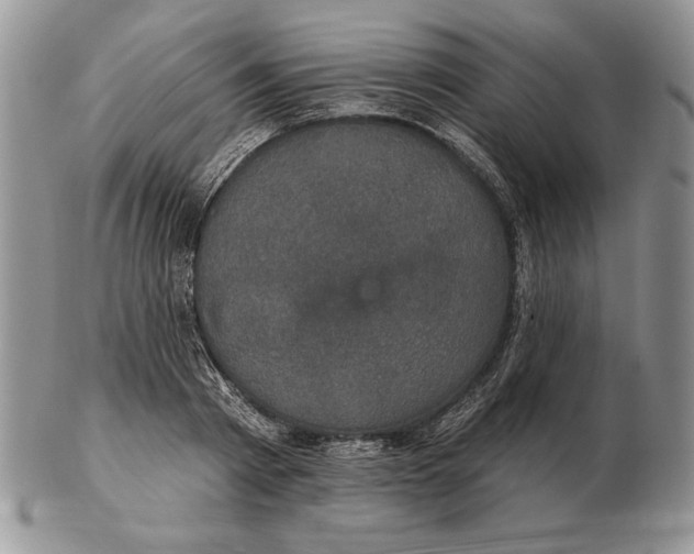 X0000102400793200808221847