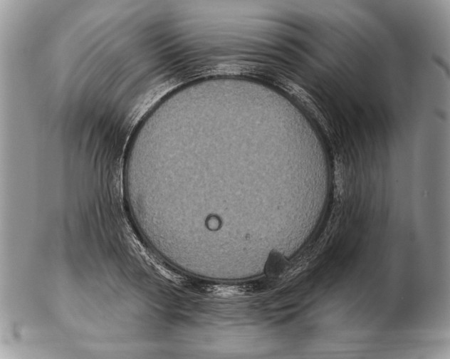 X0000102400794200808221847