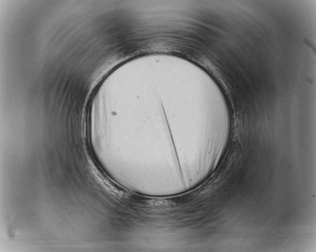 X0000102400795200808221847