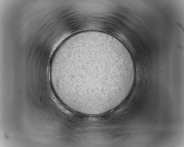 X0000102400796200808221847