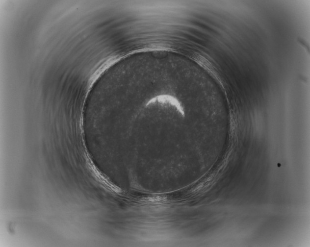 X0000102400797200808221846