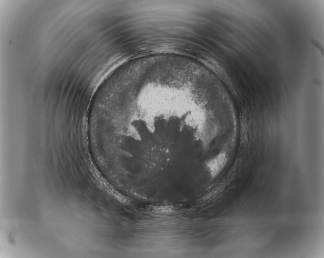 X0000102400798200808221846