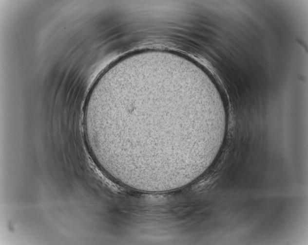 X0000102400799200808221846