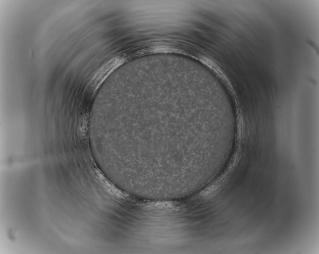 X0000102400801200808221846