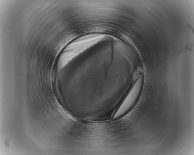 X0000102400802200808221846