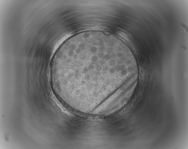 X0000102400804200808221846