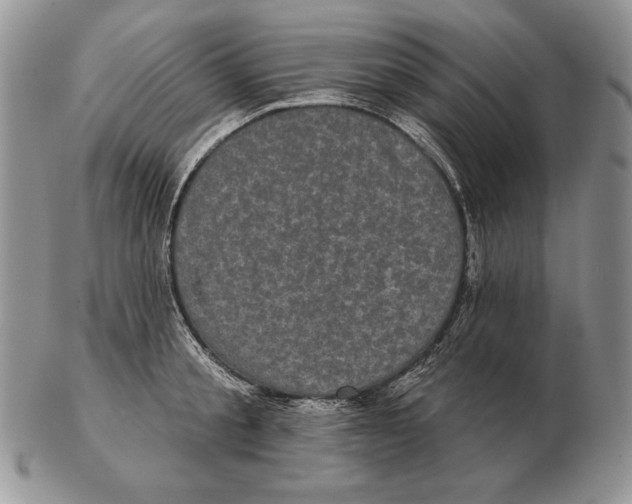 X0000102400805200808221846