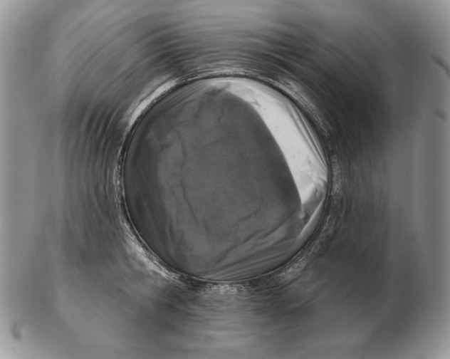 X0000102400806200808221846