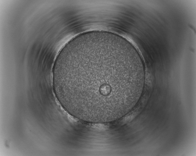 X0000102400807200808221846