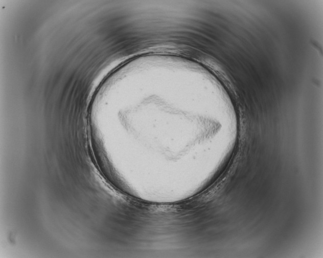 X0000102400808200808221846