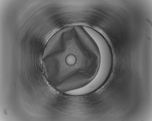 X0000102400809200808221846