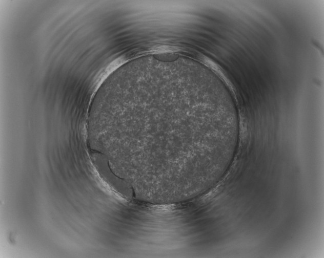 X0000102400810200808221846